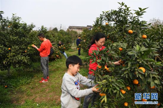 ����������1���ָ����˰��ռ�