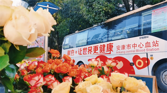 安康這三兄妹,熱血!